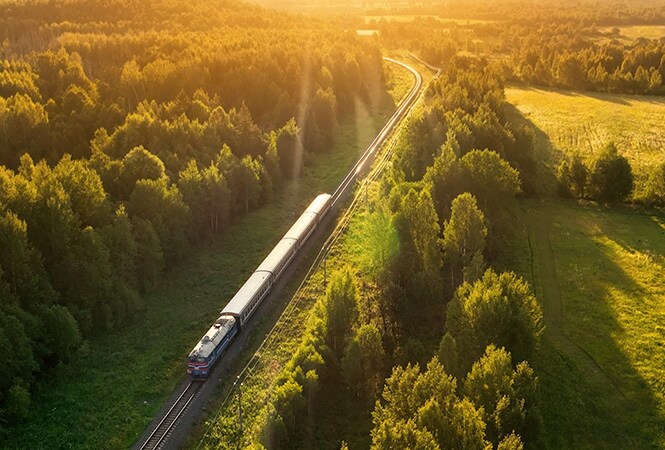 Train traversant une forêt, représentant un système de refroidissement amélioré pour une meilleure performance ferroviaire.
